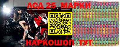 гидра Моздок
