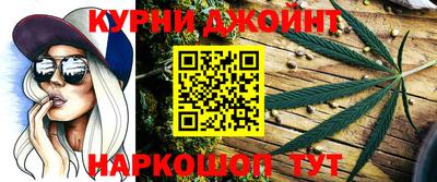 гидра Моздок