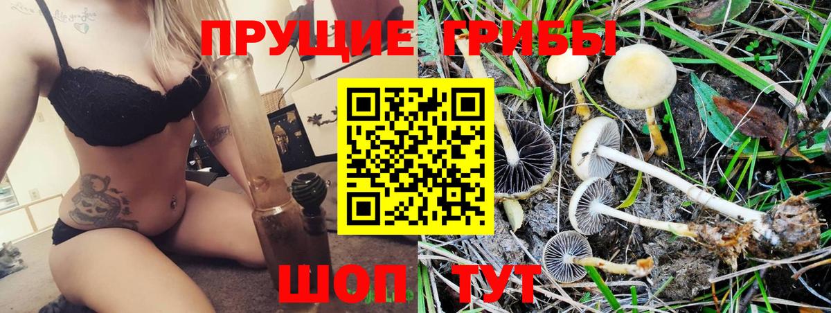 даркнет сайт  Вход с VPN  Галлюциногенные грибы Cubensis  Фролово  Псилоцибиновые грибы прущие грибы 